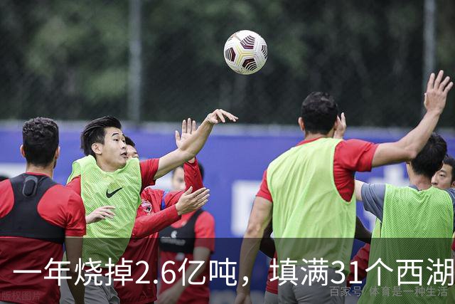 一年烧掉2.6亿吨，填满31个西湖！中国的垃圾，不够烧了？
