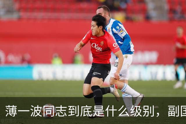 薄一波同志到底是什么级别，副国级？还是正国级？